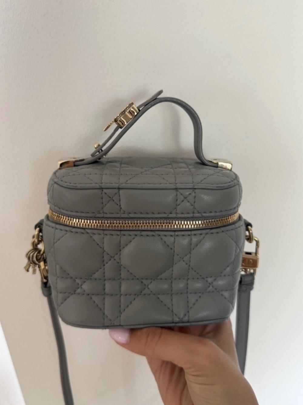 Dior Vanity Case Micro